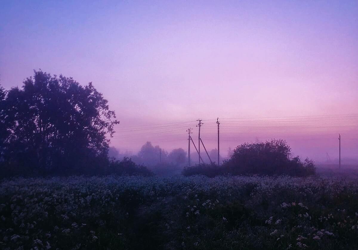 苏翊鸣获单板滑雪男子坡面障碍技巧世界杯赛季总冠军